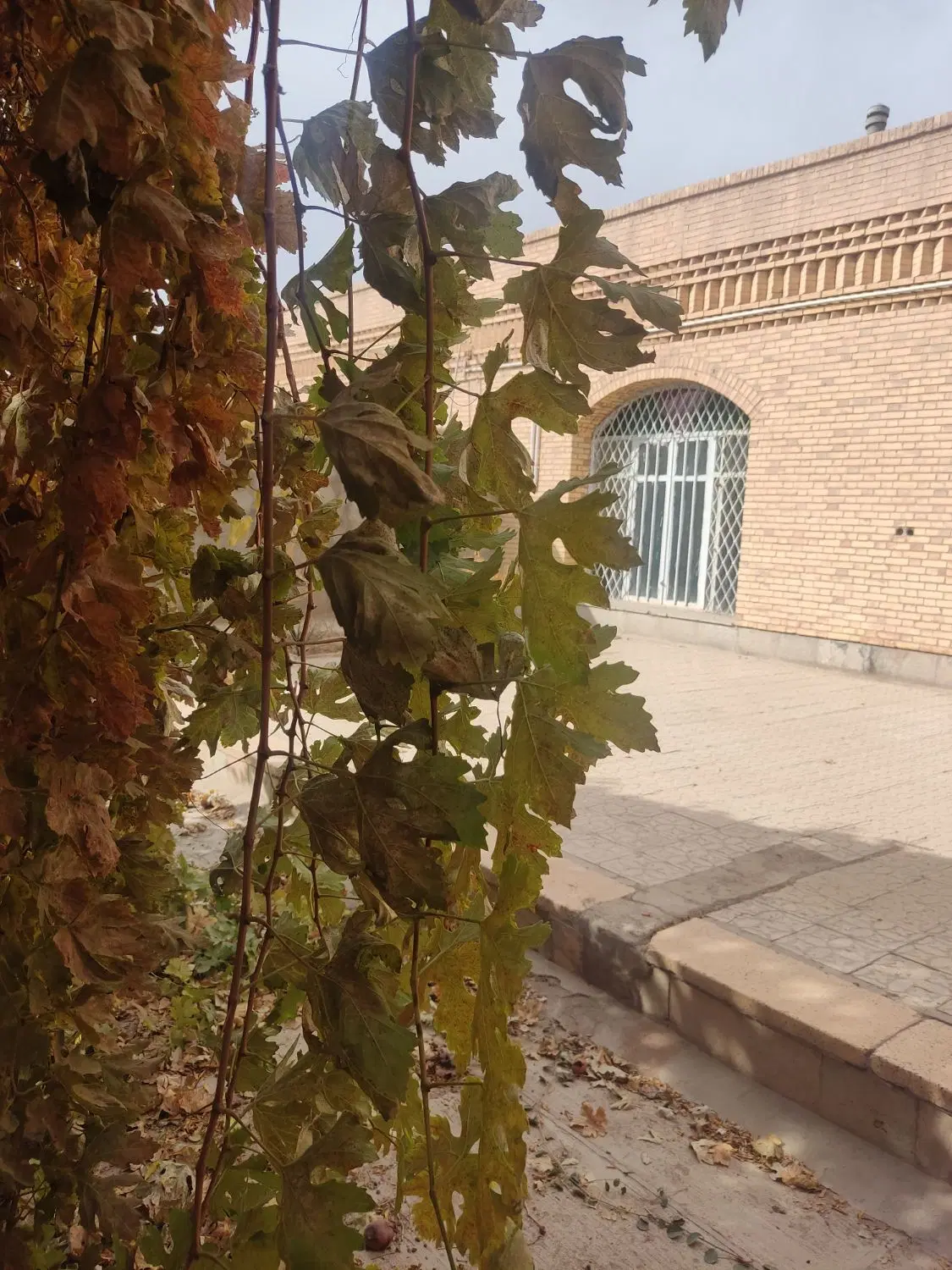 فروش ملک کلنگی ولی قابل سکونت