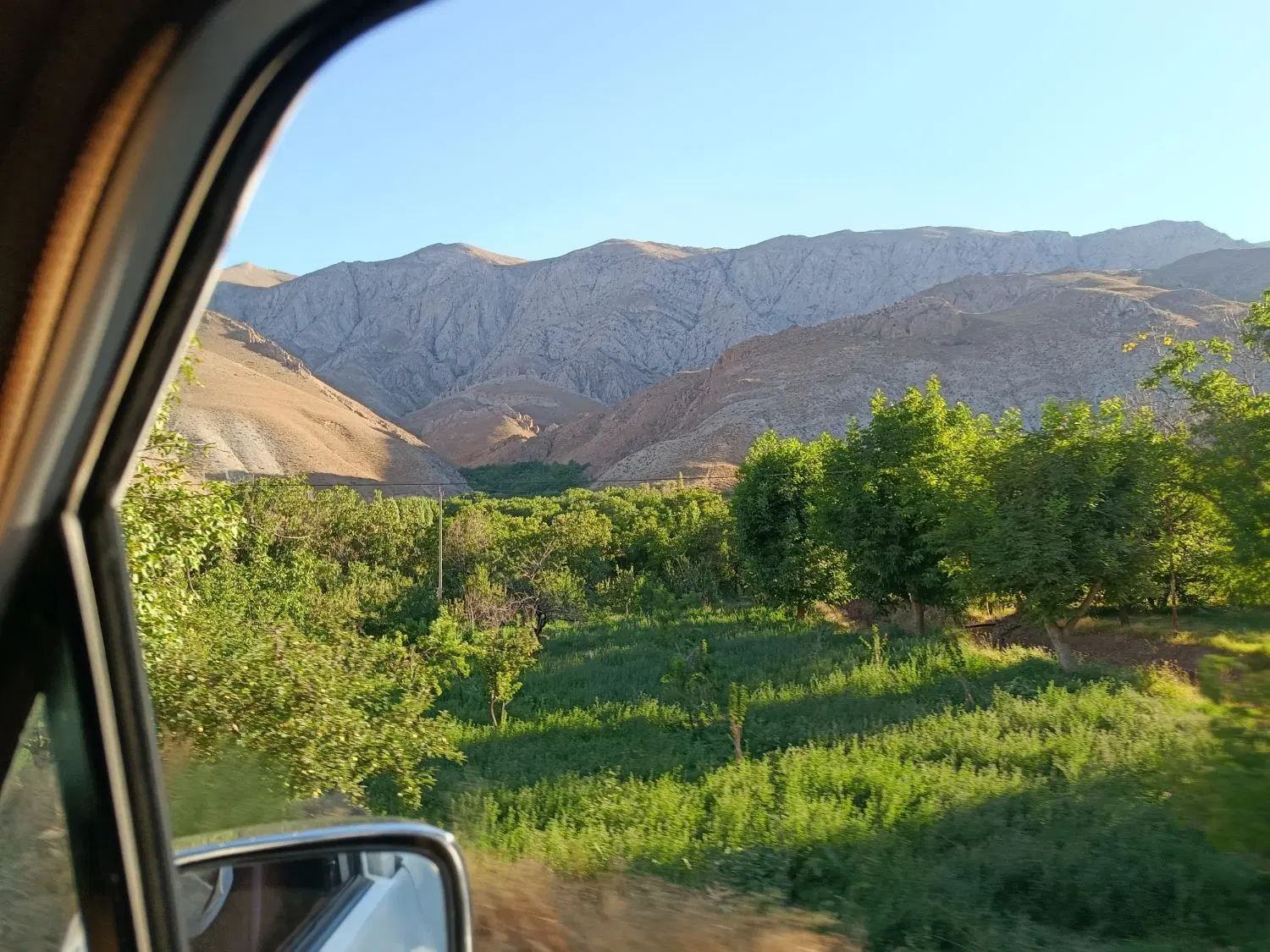 زمین دور دیوار کلاکوب سجاد12