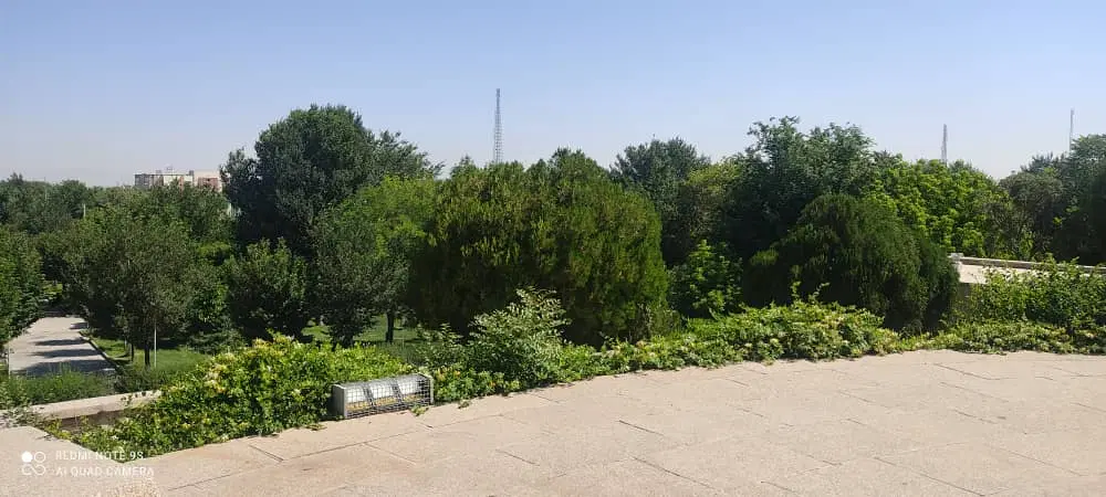 زمین معلمیان سر ۲۴ متری