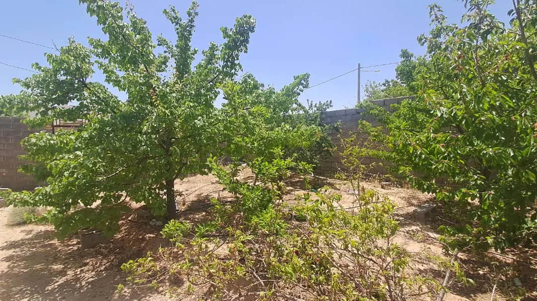 زمین مسکونی تنگ چنار
