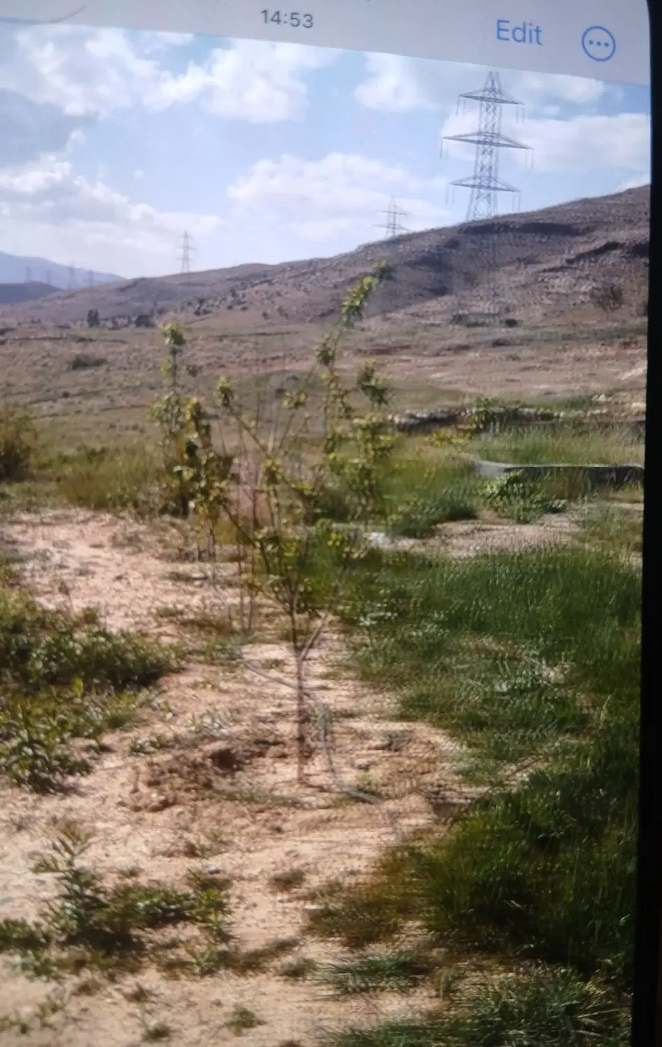 فروش باغ در جوادیه