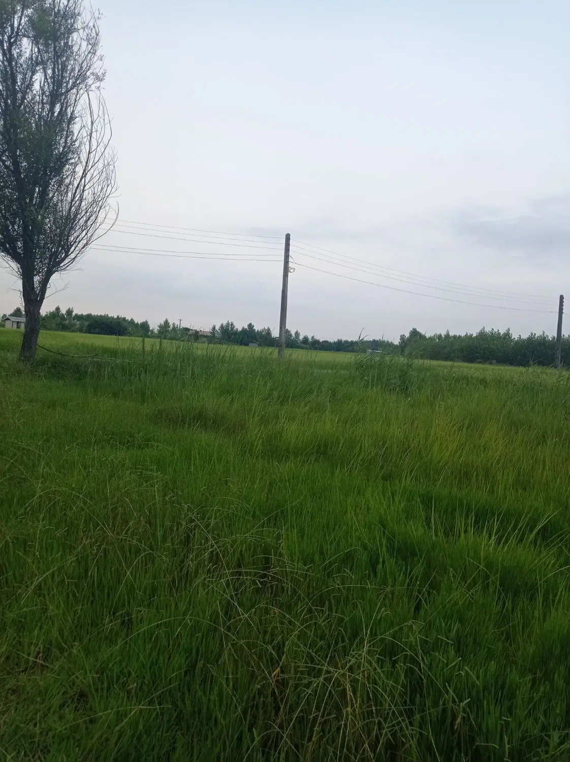 فروش زمین