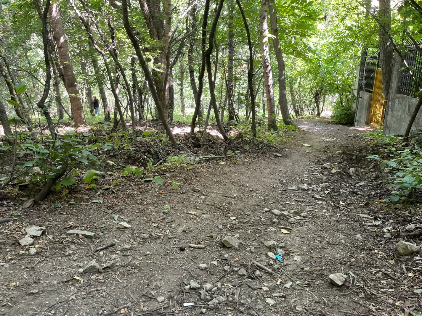 فروش زمین بسیار بکر در روستای آهار