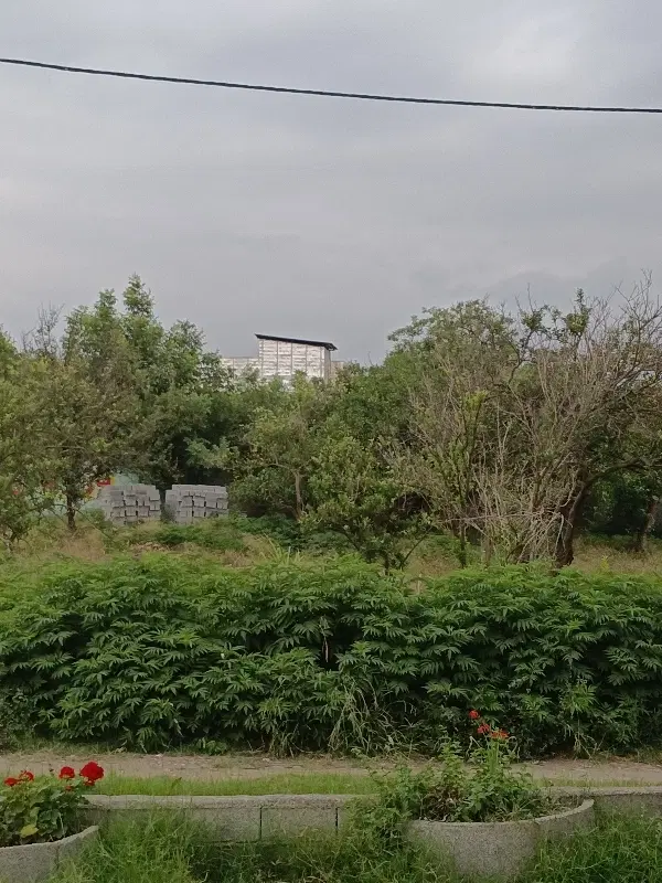 فروش خونه باغ