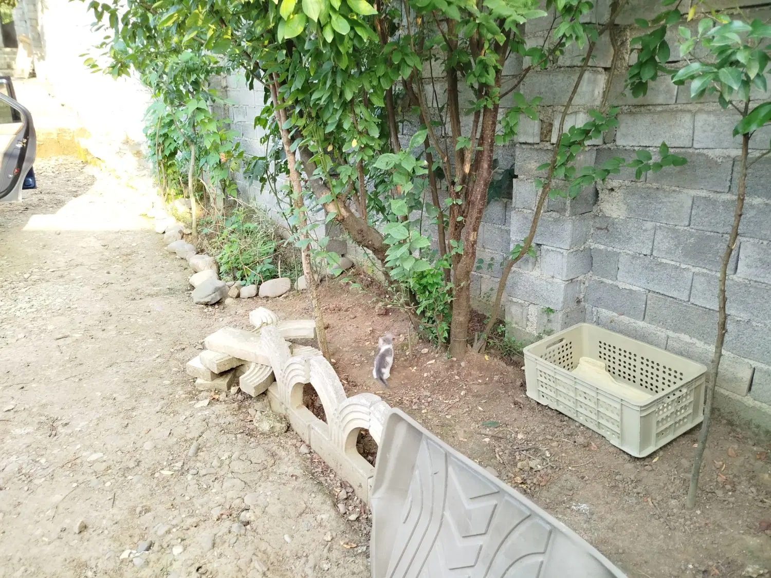 زمین مسکونی