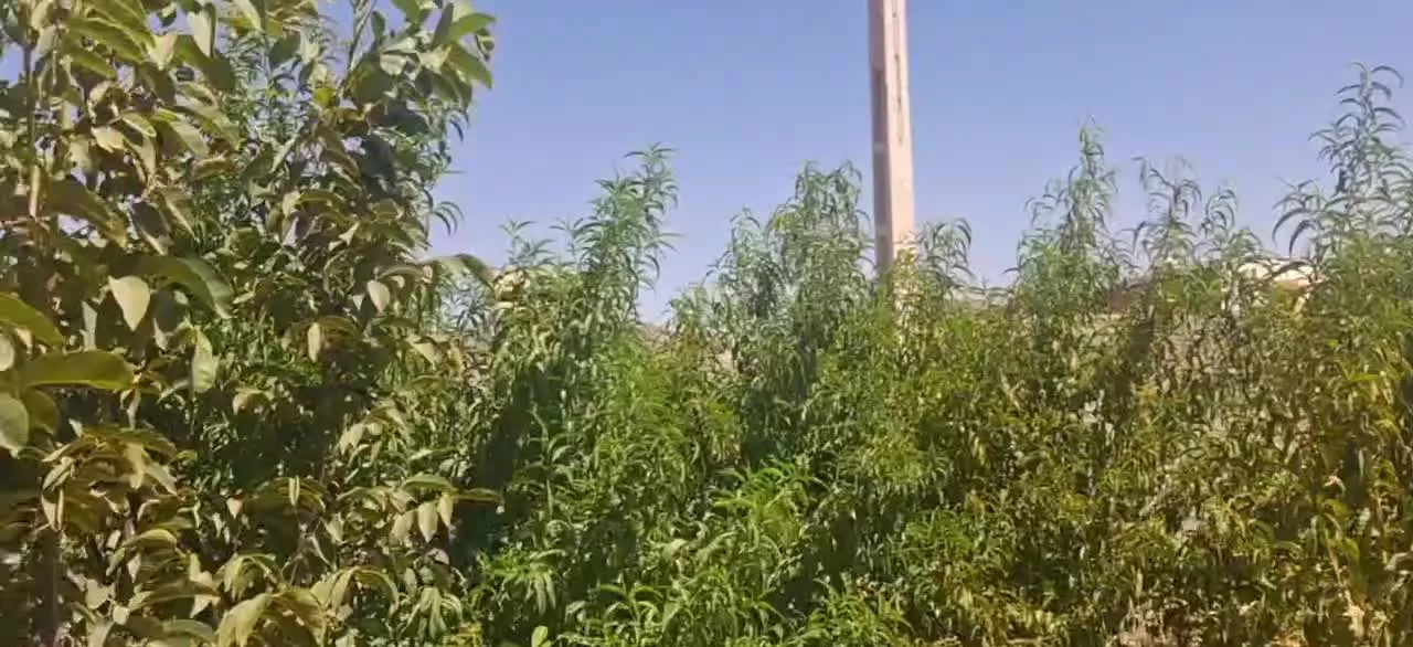 زمین دهنوکمالوند مناسب برای ساخت ویلا