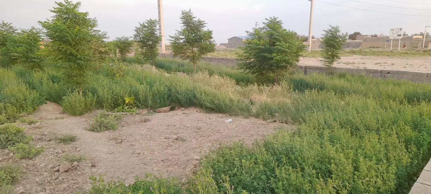 فروش ملک