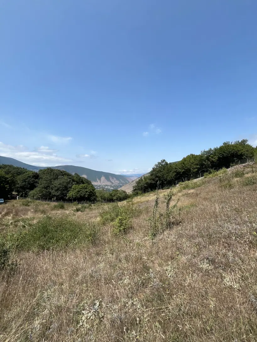 زمین _ باغ در بالاترین نقطه نوشهر روستای کندلوس