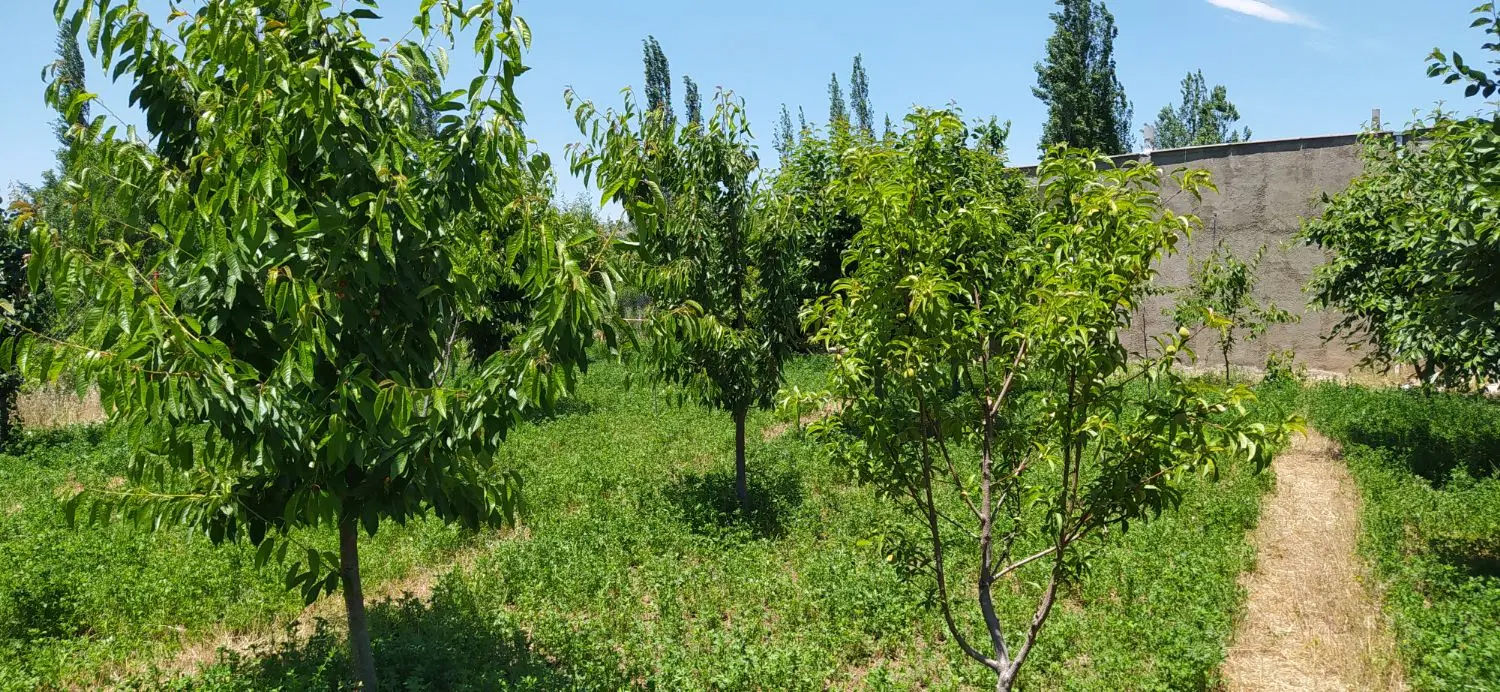 زمین فروشی وصال