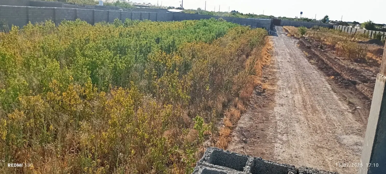 باغچه ۱۲۵۰متر