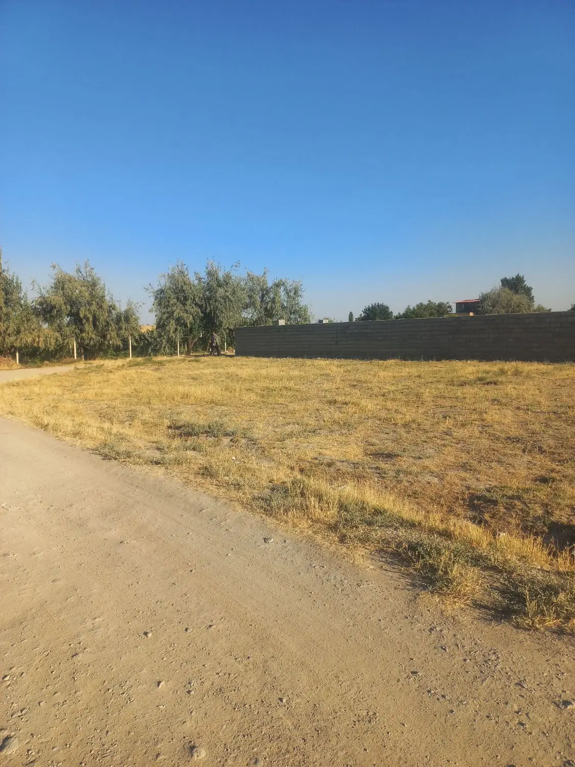 یک قطعه زمین ۲ نبش در جارچلو