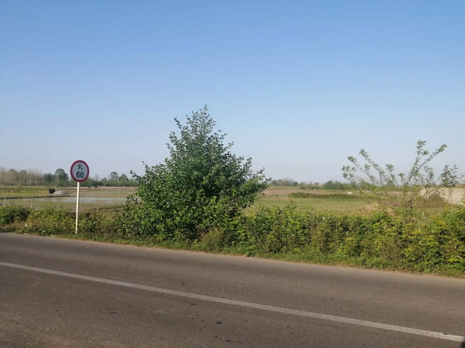 زمین 1000 متری صومعه‌سرا ندامان با مجوز ساخت