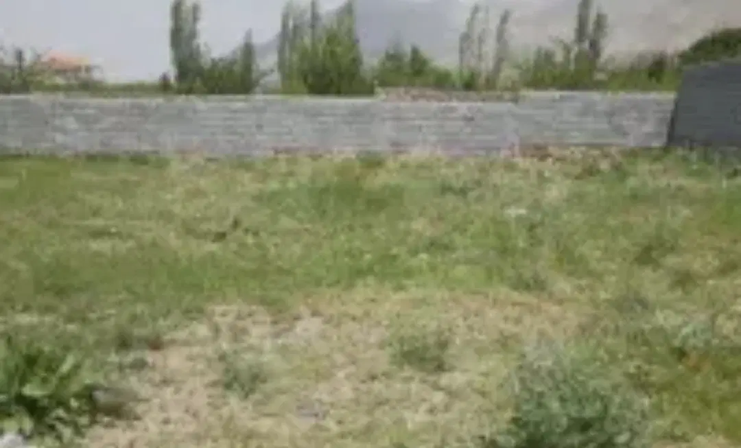 زمین باغشهری قلات