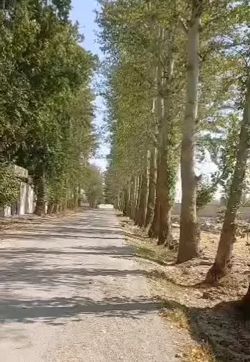 زمین در چهار باغ