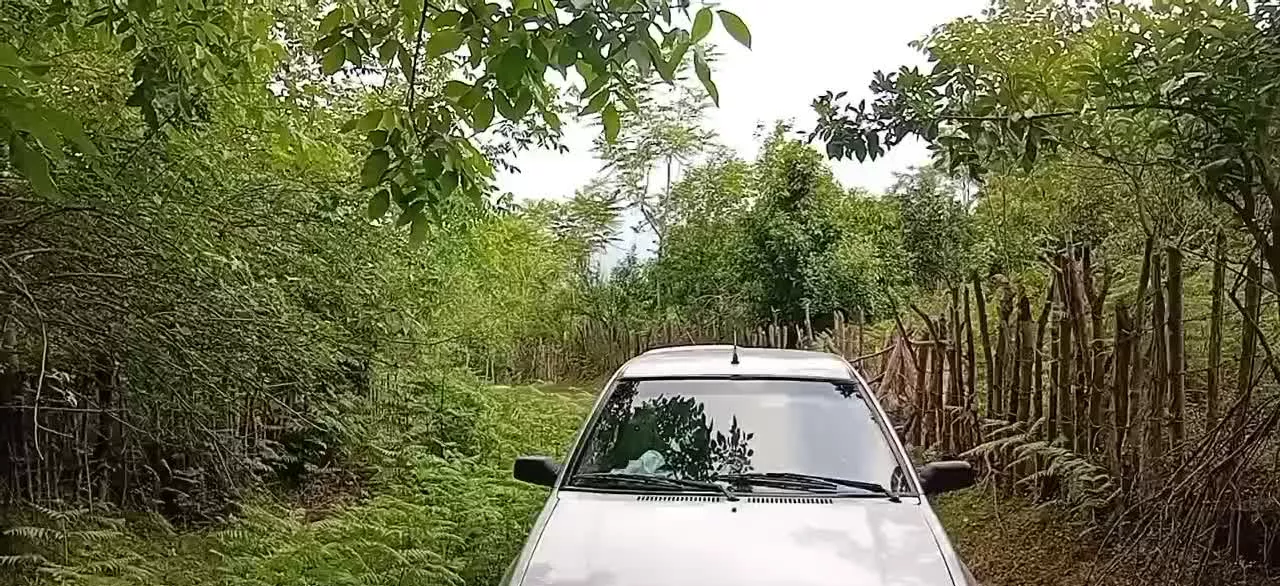 باغ زیبا