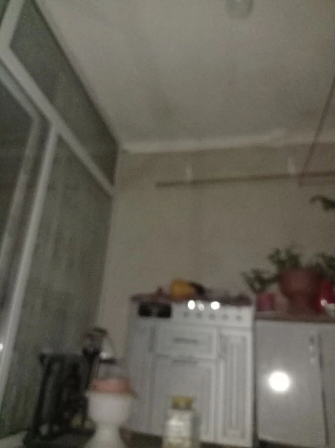 همخونه خانم