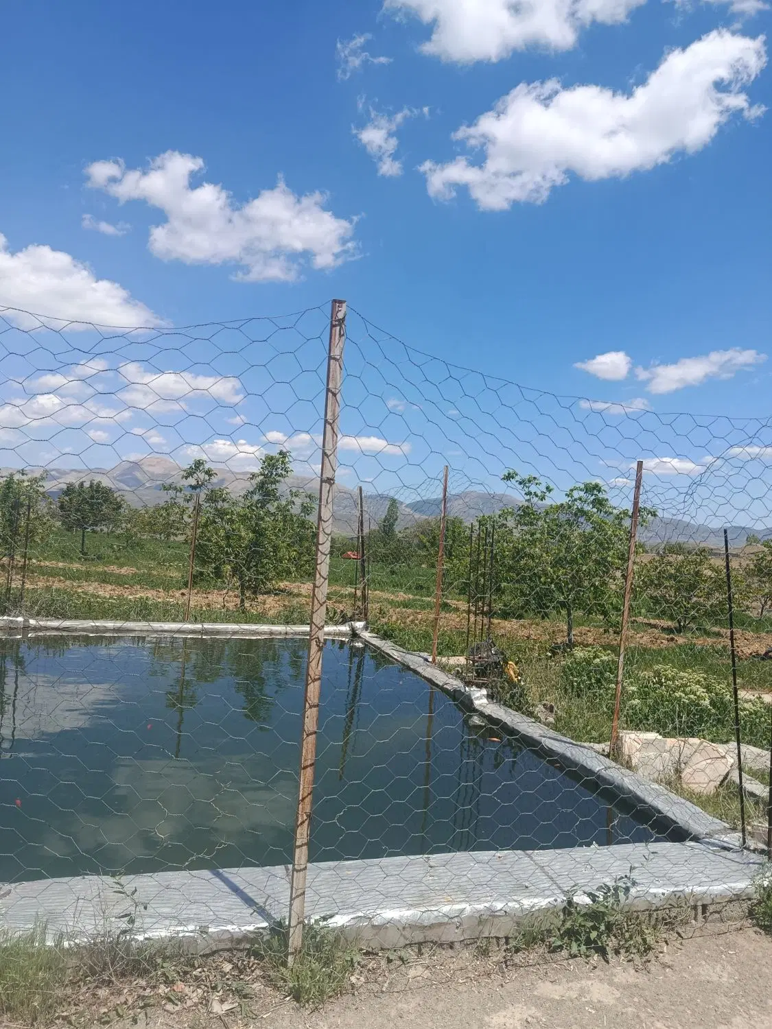 باغ زیبا واقع در روستای گورانسراب شهرستان خلخال