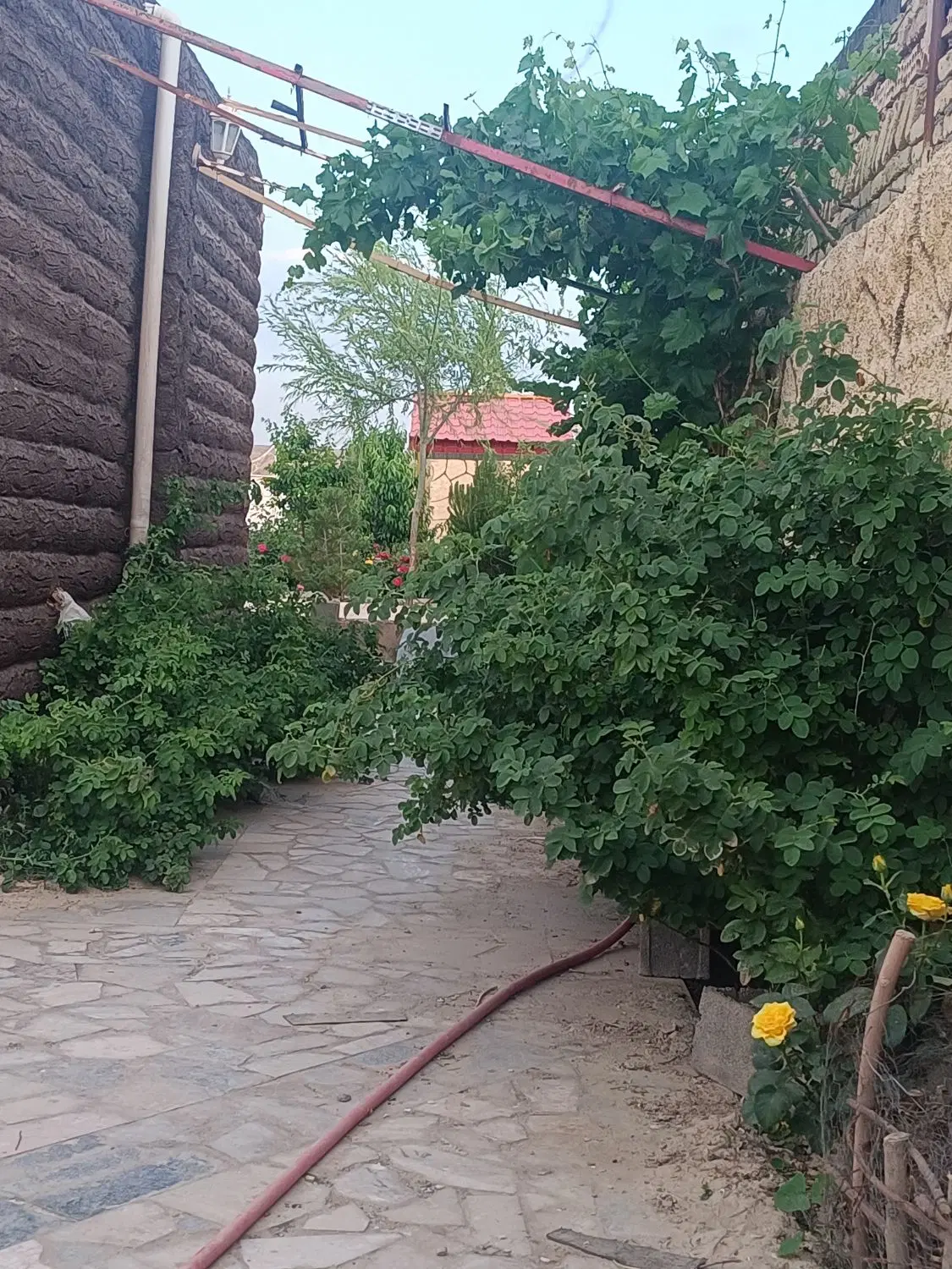باغ شاهنامه ۶۹