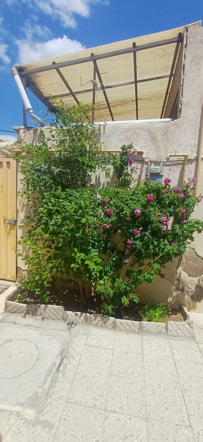 رهن  و اجاره خانه در آخماقیه