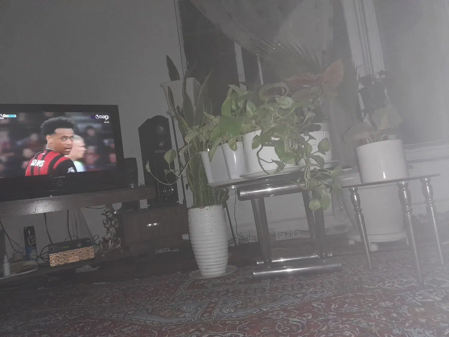 همخونه