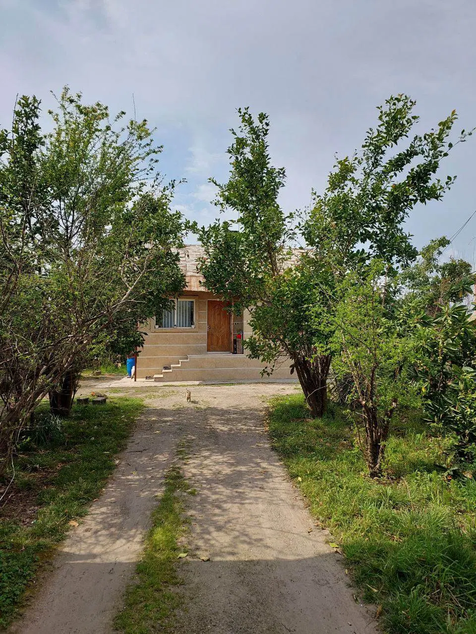 فروش ۴۰۰متر زمین و خانه رشت خ لاهیجان