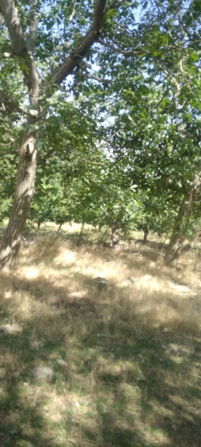 زمین در ابرو