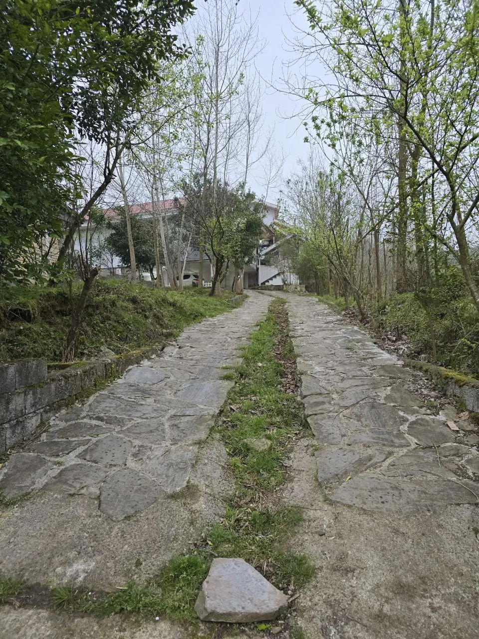 ویلای جنگلی باسند عرصه وعیان