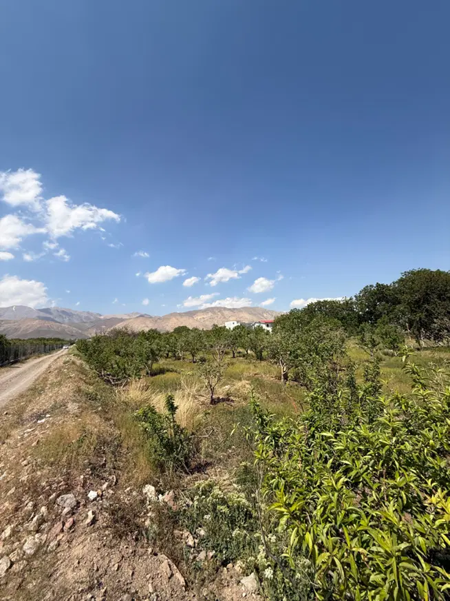 ۳۲۰متر باغچه مناسب ساخت با سند تک برگ در جابان
