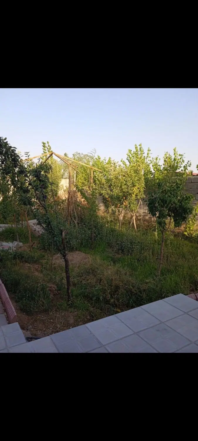 باغچه ۳۰۰ متری با بنای مسکونی بلوار هوا فضا و
