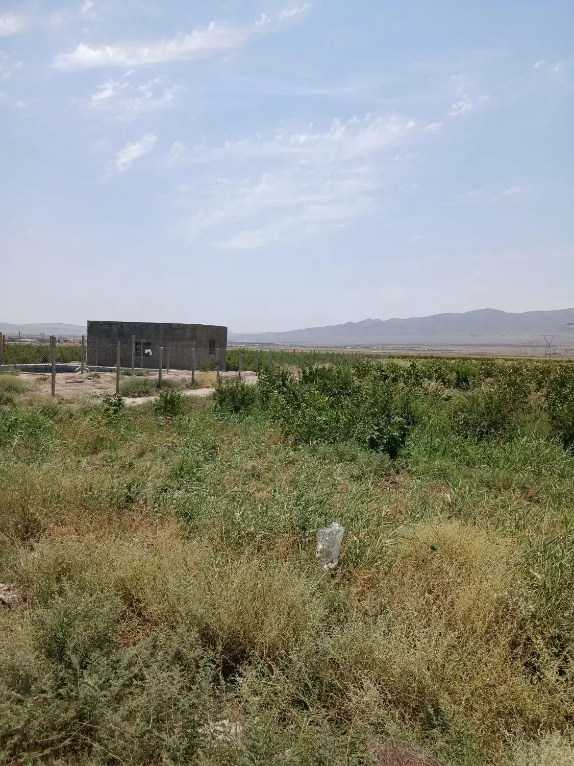 فروش خونه باغ،باغچه،نزدیک آوه و جعفریه