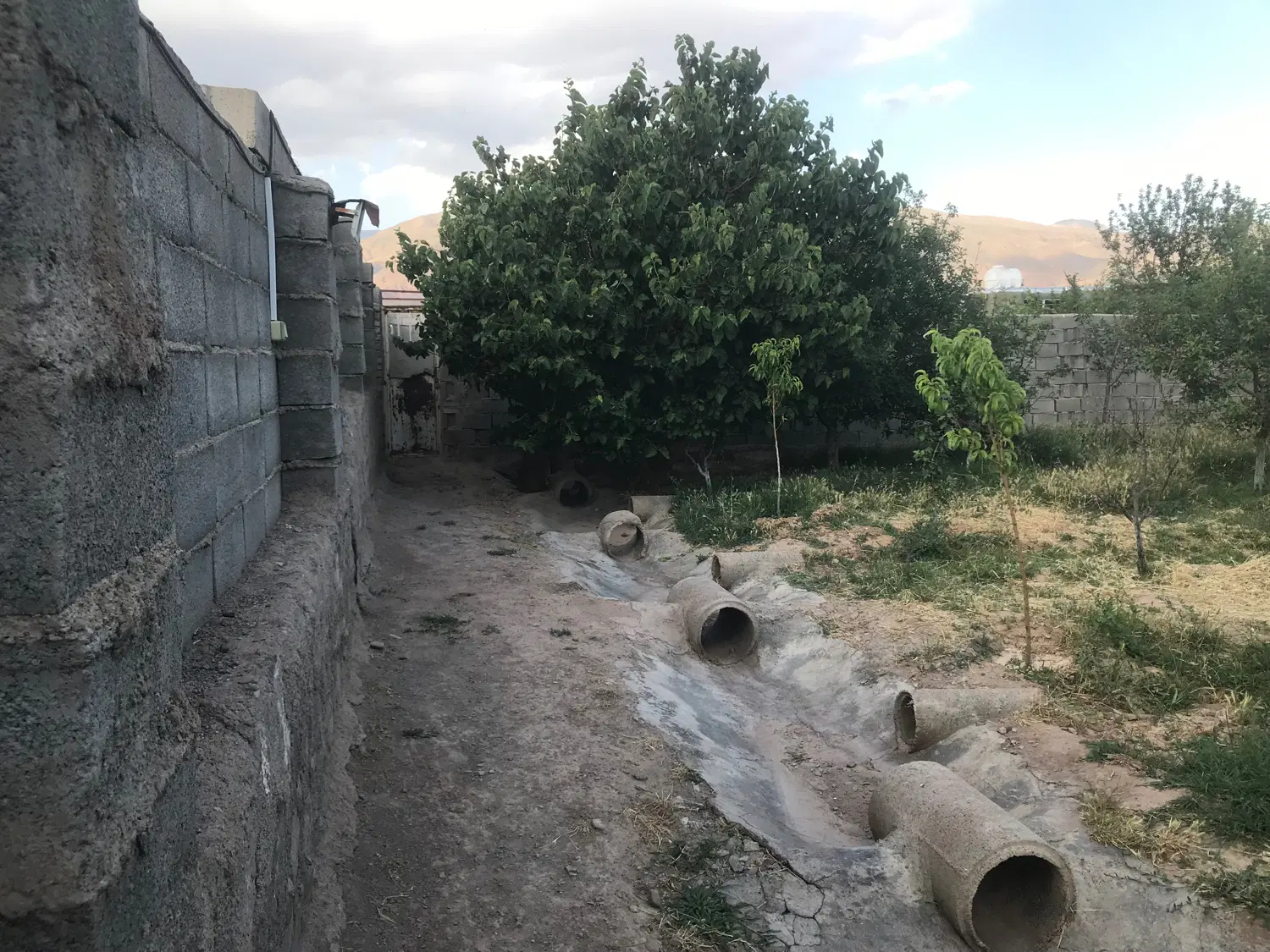 زمین باغ