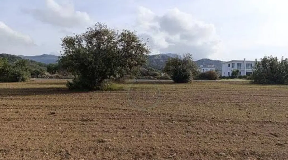 زمین مسکونی