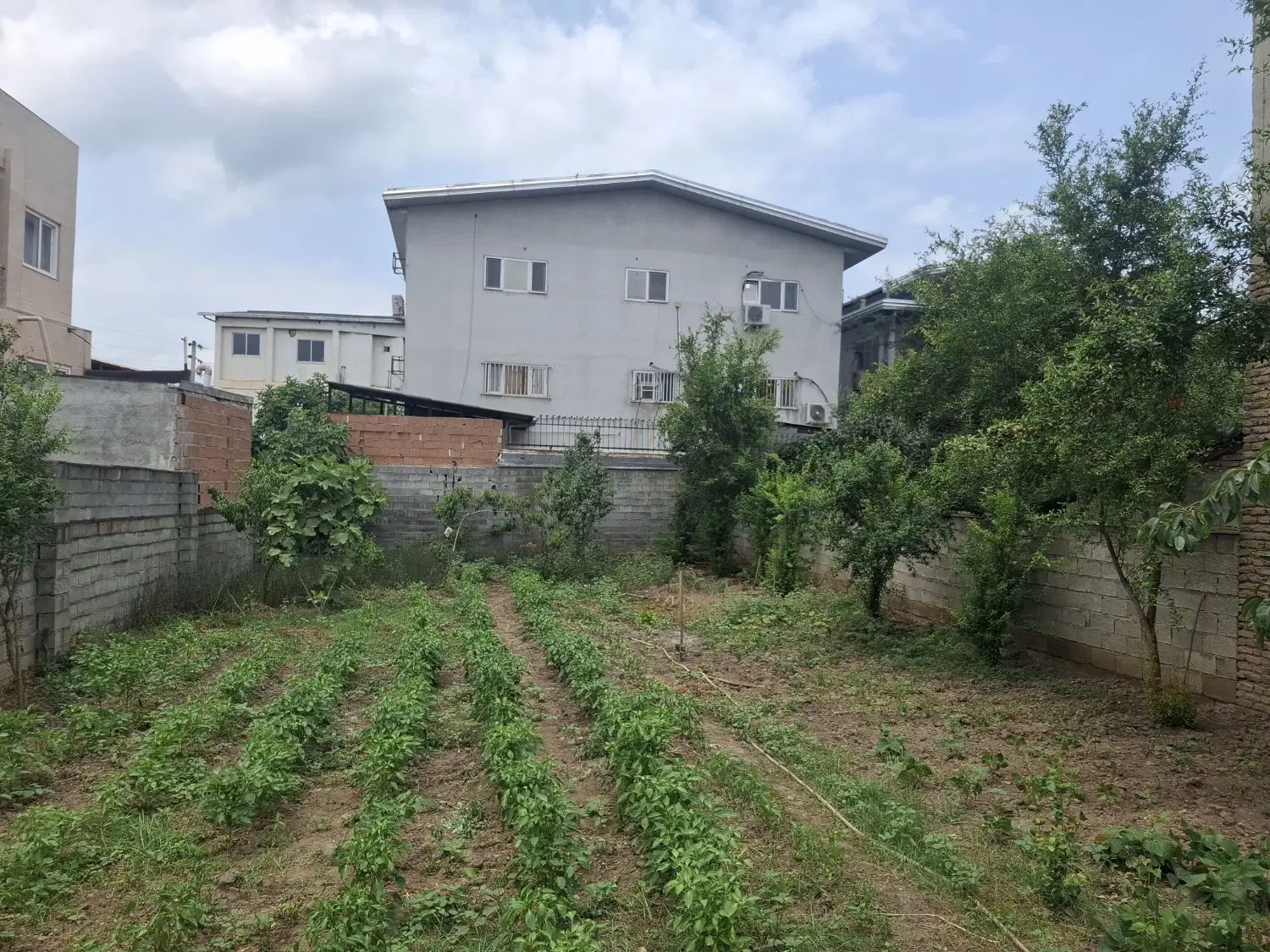 زمین مسکونی در بابل
