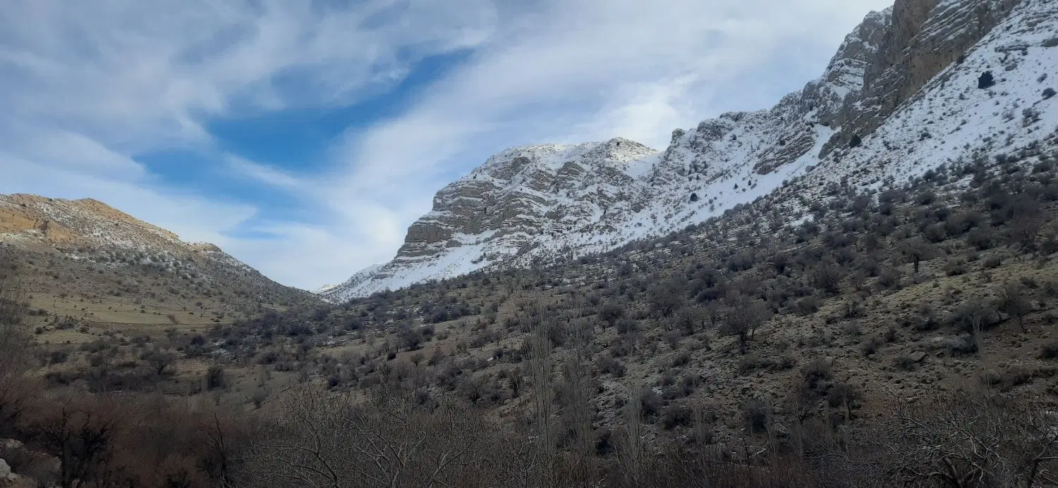 زمین ۲۵۰ متری قصر سبز