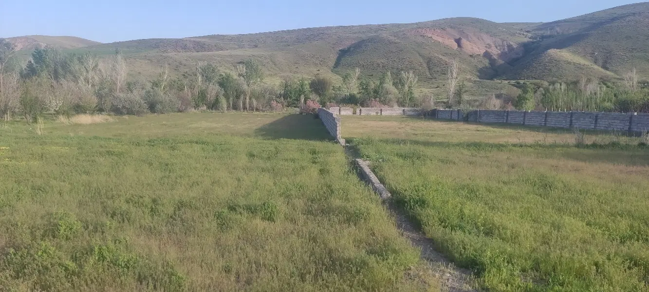 باغی ویلایی