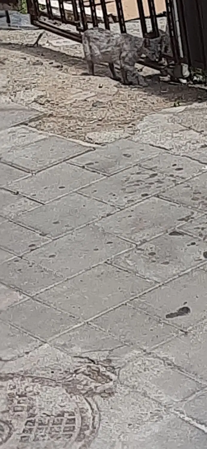 زمین مسکونی در دین پرست