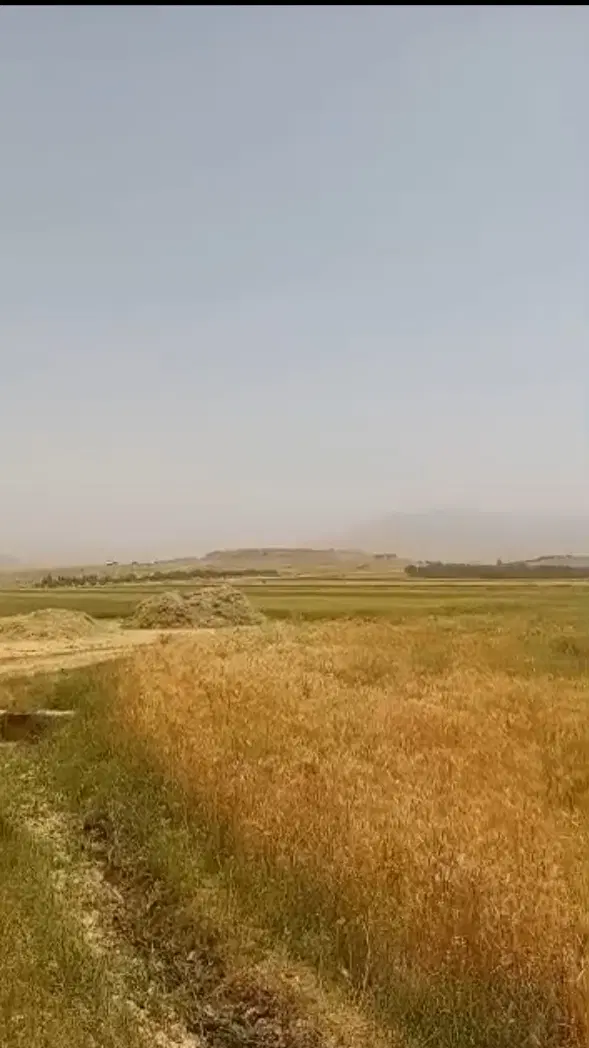 زمین کشاورزی فریدونشهر اصفهان