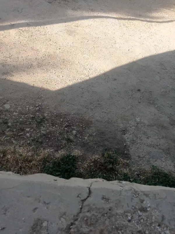 فروش زمین مشاع