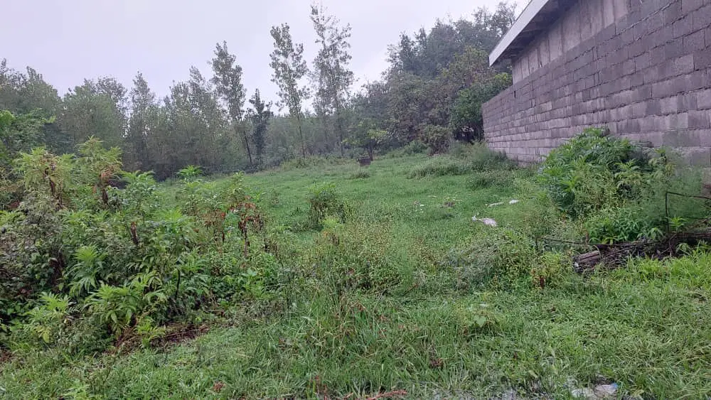 250متر مسکونی باغی چاپارخانه