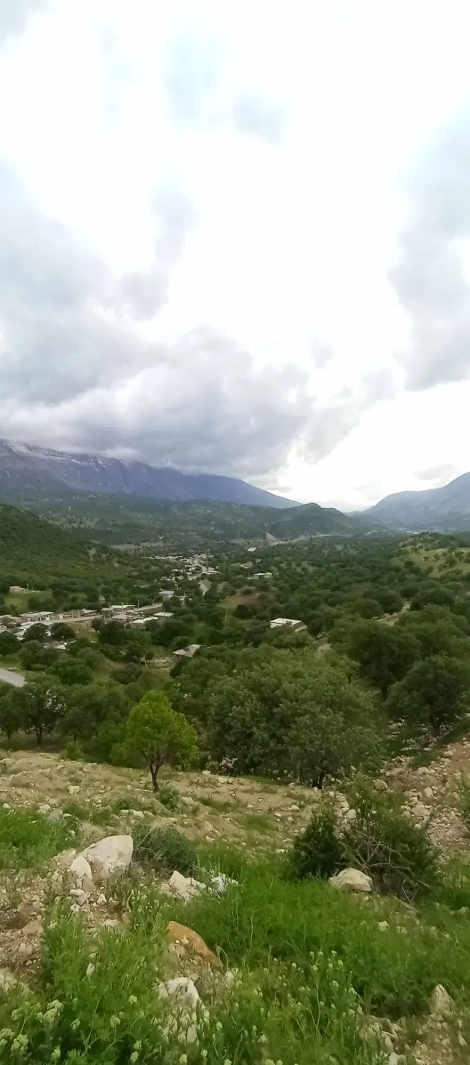 زمین مادوان پاین