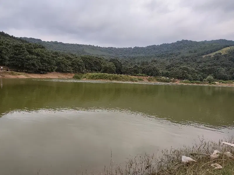 ویلایی دربست