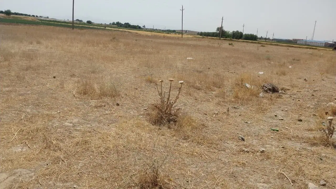 زمین کشاورزی