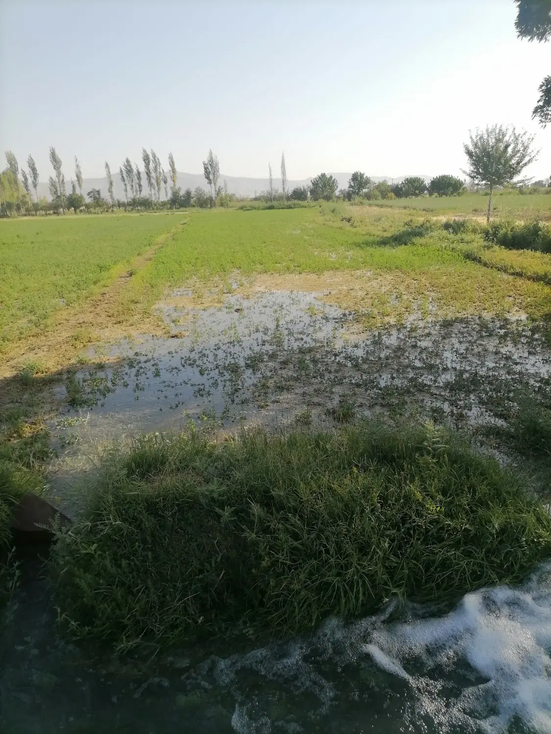 زمین کشاورزی
