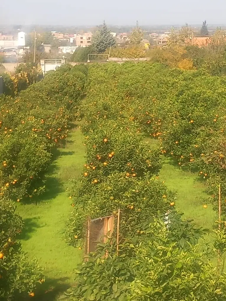 زمین ۱۰۰۰متری باپروانه جهت معاوضه با آپارتمان