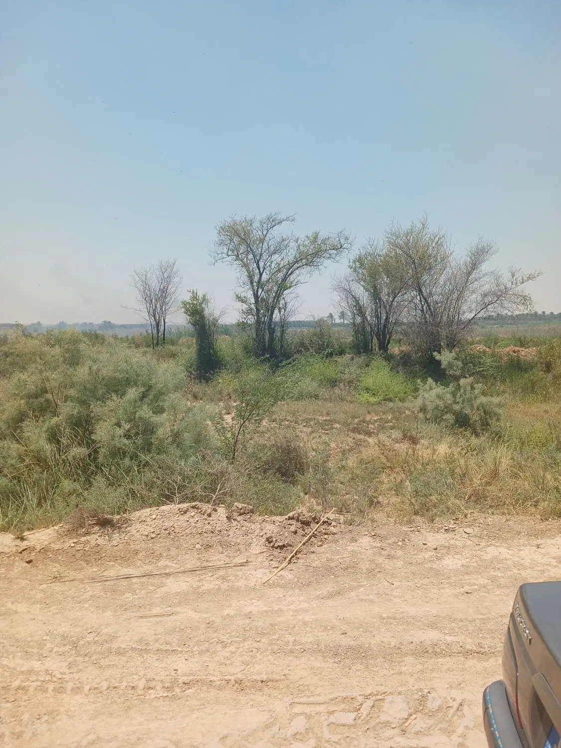 زمین مسکونی