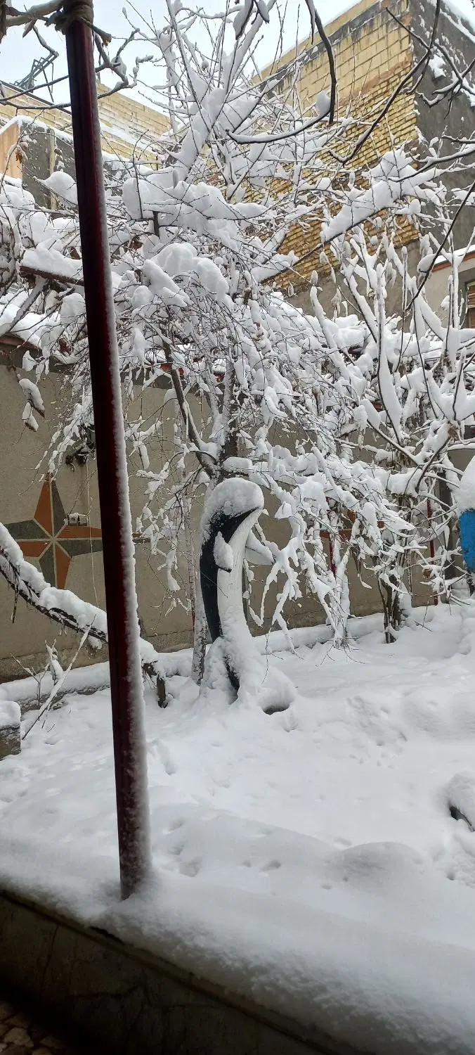 خانه  ویلایی  فروشی در پنجتن