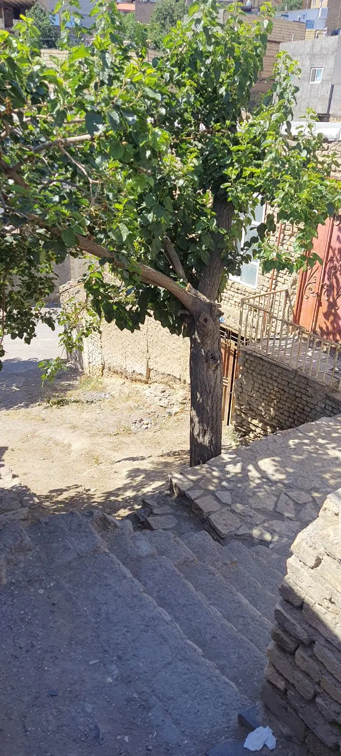 ملک کلنگی