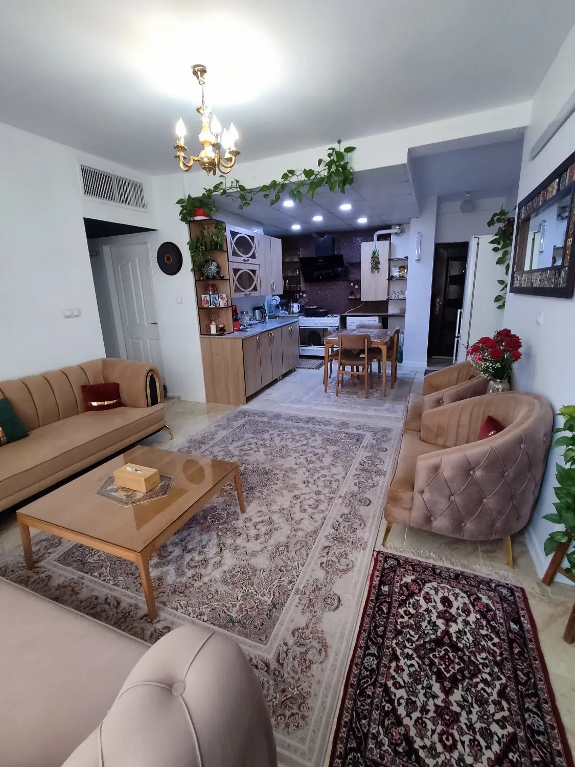 خواستار رهن اجاره واحد کوچک تمیز لوکس قیمت منصفانه