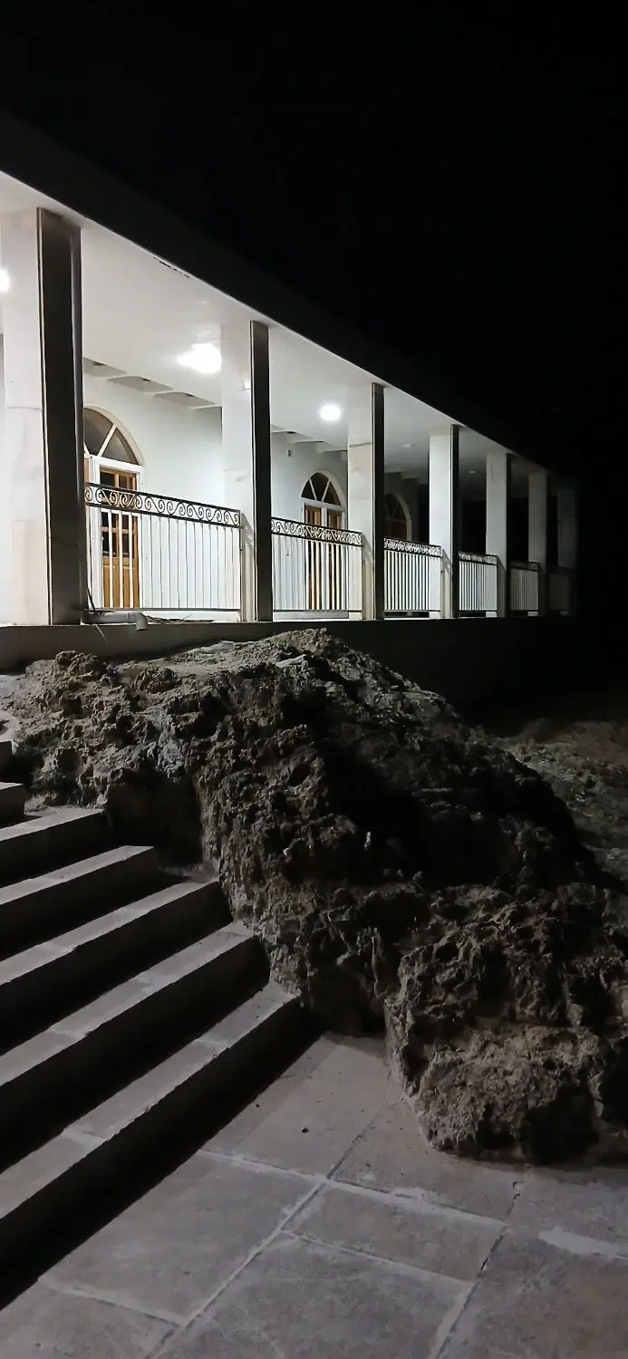 مشارکت با پروانه