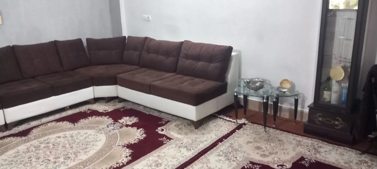 همخونه خانم بی حاشیه بدون پت